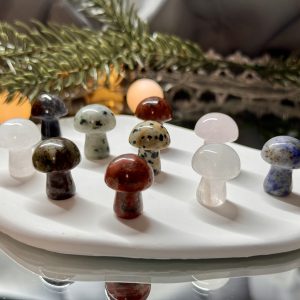 Mystery mini mushroom / meglepetés mini gomba
