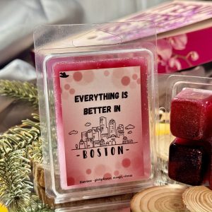 Everything is better in Boston - It ends with us illatviasz