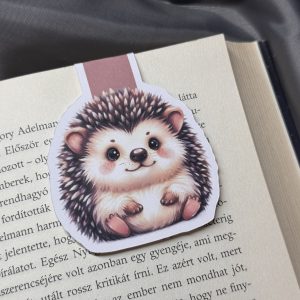 Süni mágneses könyvjelző