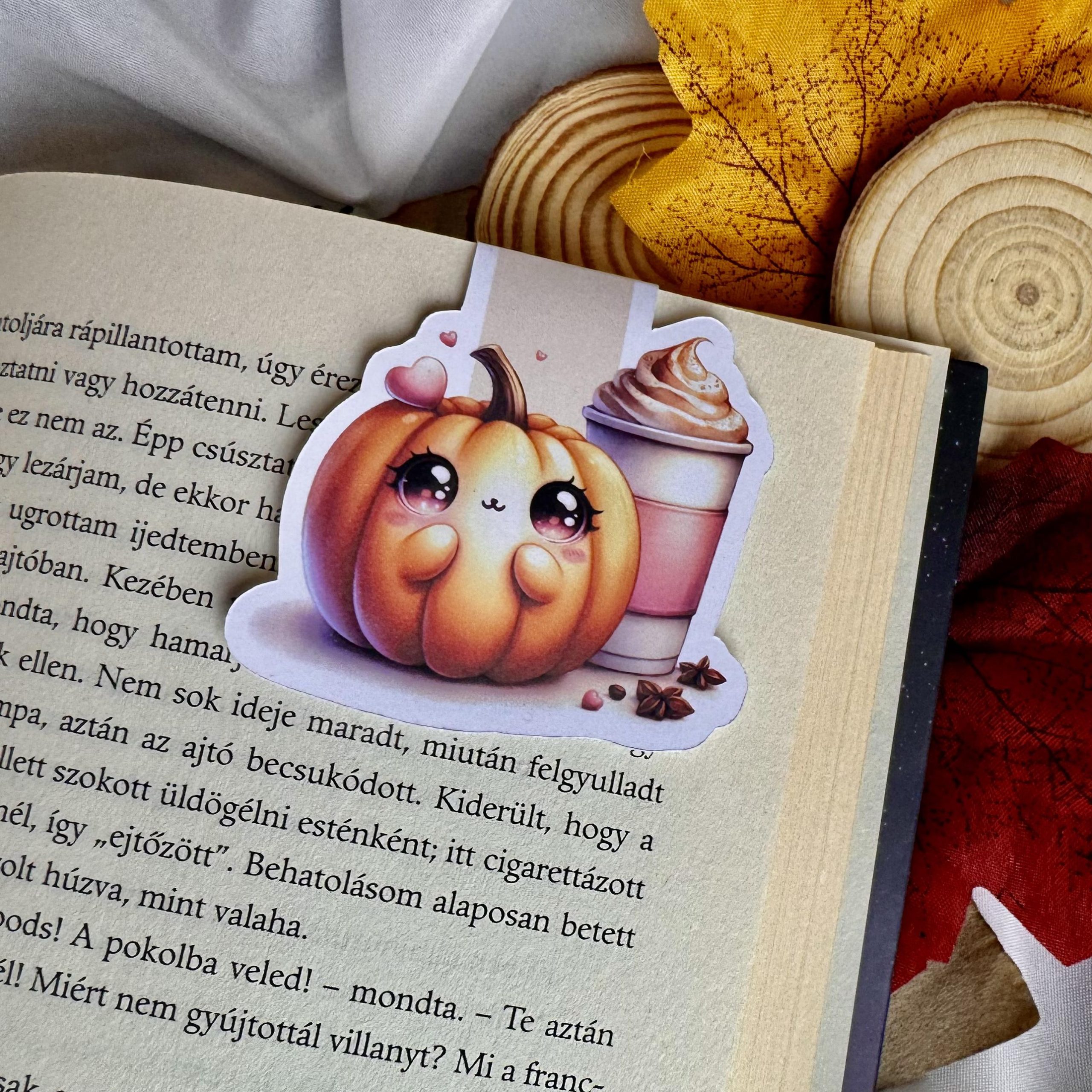 Pumpkin spice mágneses könyvjelző 1 Pumpkin spice mágneses könyvjelző