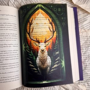 Terrasen - Üvegtrón page overlay - áttetsző print