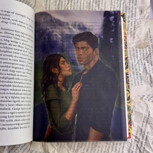 Kővágó Sára: Hegek page overlay - áttetsző print