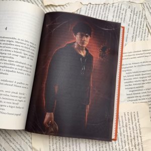 Malachi Vize - Little Stranger page overlay - áttetsző print