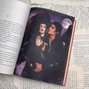 Raihn & Oraya - The Serpent and The Wing of Night page overlay - áttetsző print
