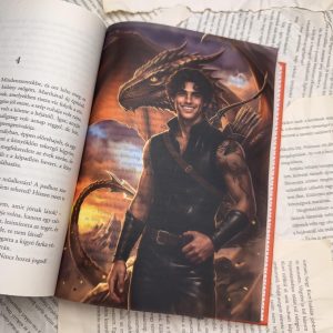 Ridoc Gamlyn - Fourth Wing page overlay - áttetsző print